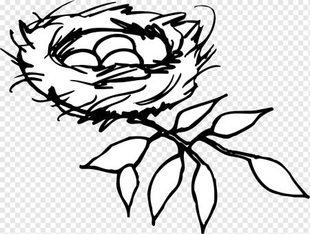 Раскраска гнездо птицы