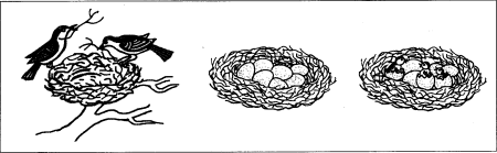 Рисование гнездо