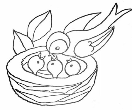 Гнездо раскраска для детей