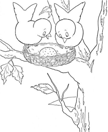 Гнездо раскраска для детей