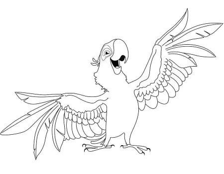 Попугай ара раскраска
