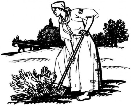 Дед Мазай и зайцы