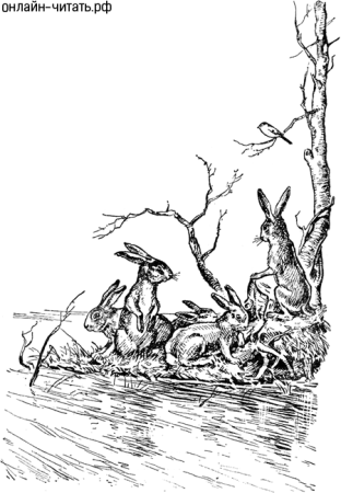 Некрасов Графика