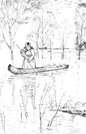 Некрасова Николая Алексеевича иллюстрации