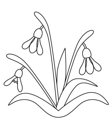 Подснежники рисунок