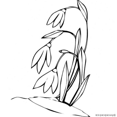 Подснежники рисунок