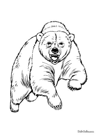 Раскраска "мишки"