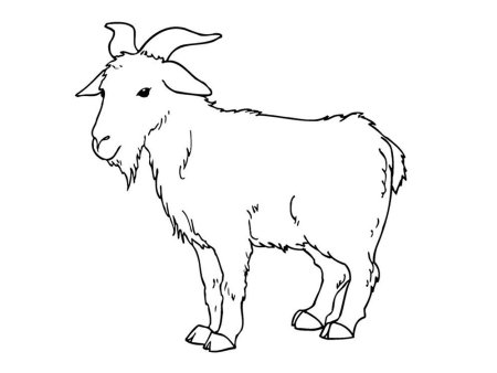 Коза раскраска