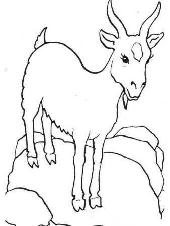 Коза раскраска