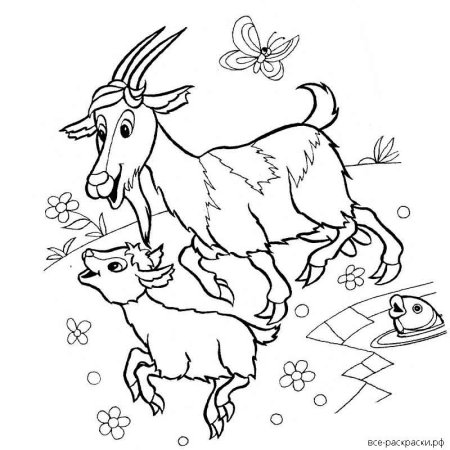 Козлёнок раскраска для детей