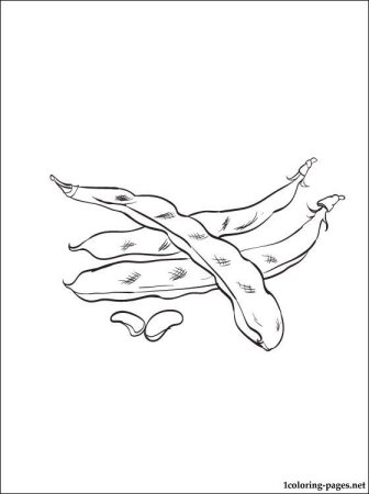 Фасоль раскраска для детей