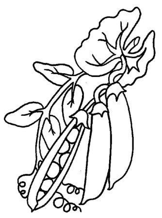 Горох раскраска для детей