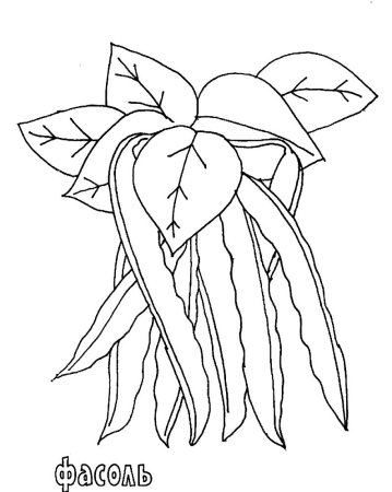 Бобы раскраска для детей