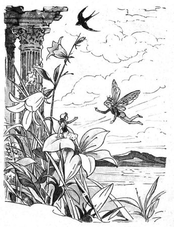 Андерсен Дюймовочка раскраска