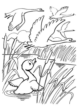 Дюймовочка раскраска