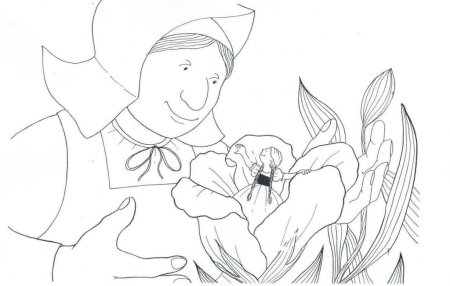 Ганс христиан Андерсен Дюймовочка раскраски