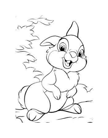 Заяц раскраска для детей