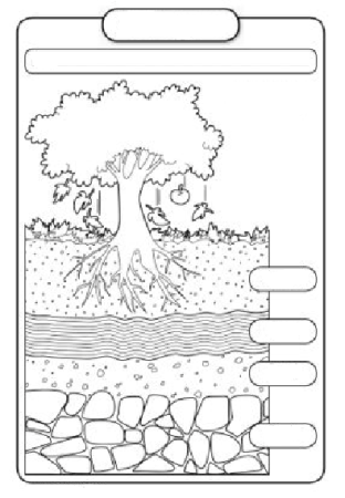 Почва задания для детей