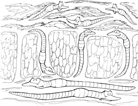 Раскраски сельское хозяйство для детей