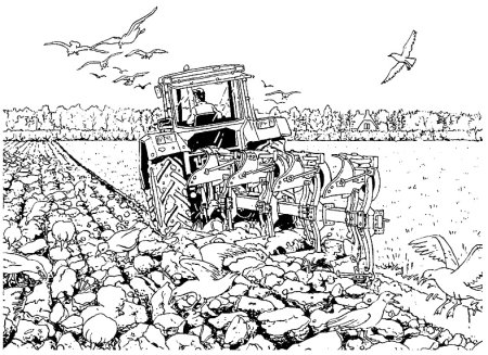 Почва раскраска