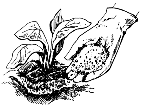 Экология раскраска для детей