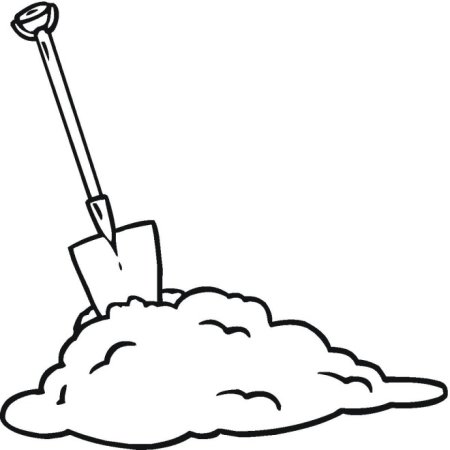 Прорсатсние семени фасоли