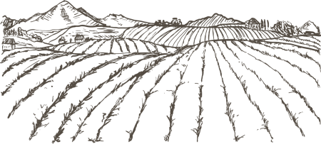 Раскраска Планета земля с деревьями