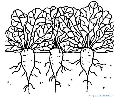 Планета земля раскраска для детей