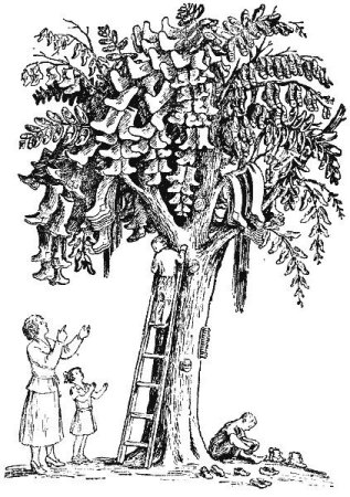 Чудо дерево раскраска для детей