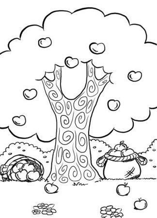 Чудо дерево раскраска