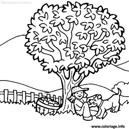 Раскраска антистресс дерево