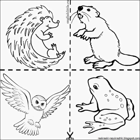 Развивающие рисунки для детей