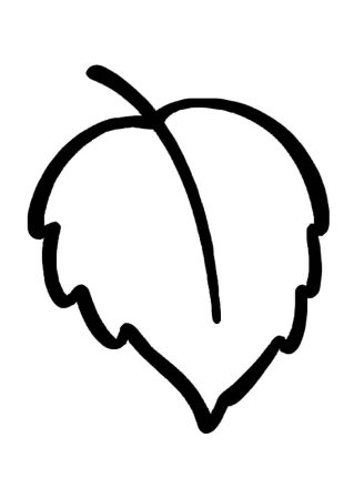 Листья деревьев раскраска