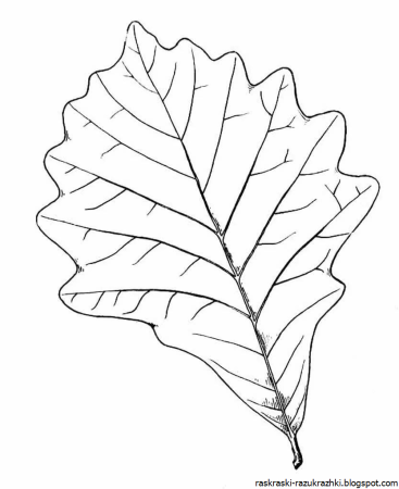 Листок раскраска