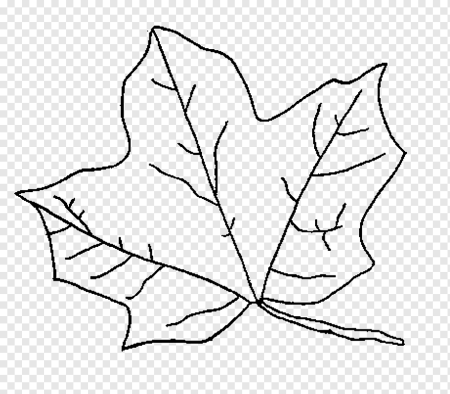Кленовый лист раскраска