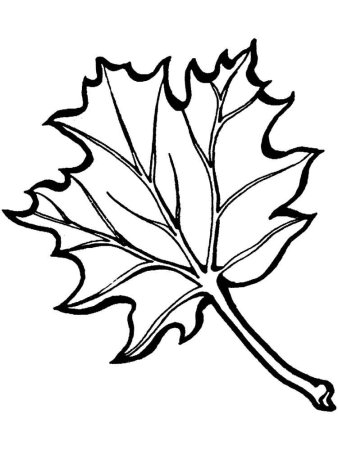 Красивые осенние листья трафареты