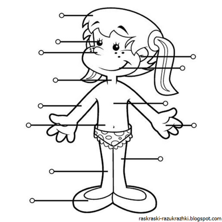 Раскраска человек