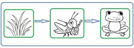 Нарисовать цепь питания
