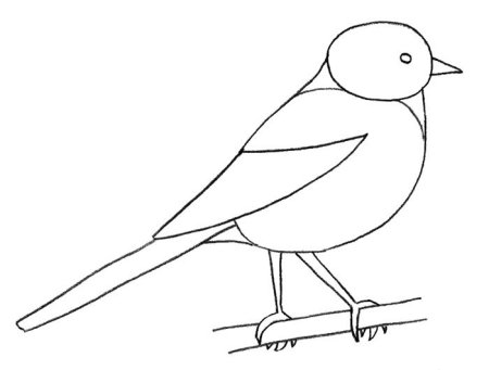 Синица на ветке раскраска