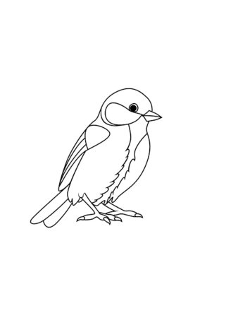 Синица раскраска для детей