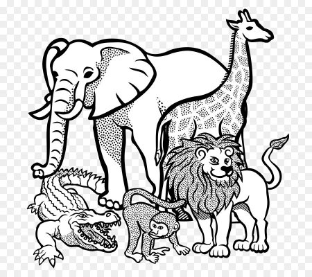 Раскраски. Животные