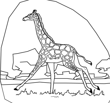 Жираф. Раскраска