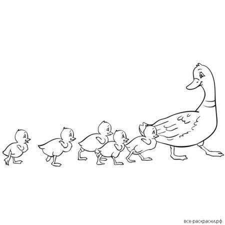 Ребята и утята пришвин раскраска