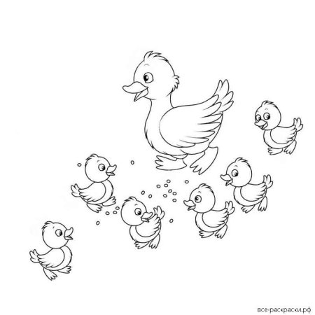 Ребята и утята раскраска к рассказу