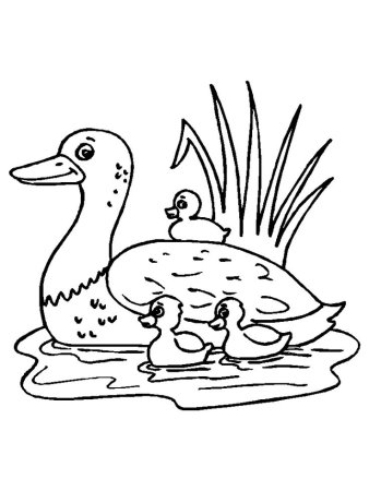 Ребята и утята пришвин раскраска