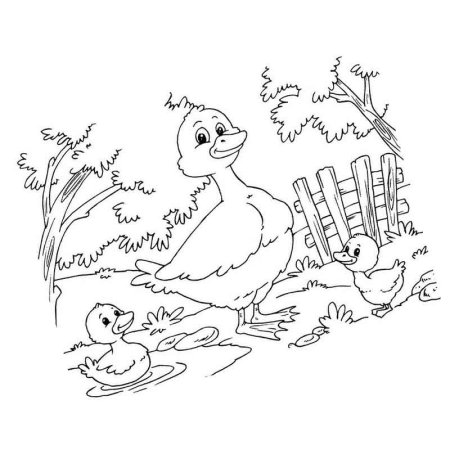 Уточка с утятами раскраска для детей