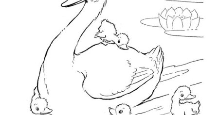 Раскраска уточка с утятами