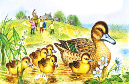 Утка с утятами раскраска