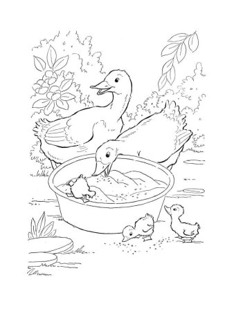 Гусь раскраска