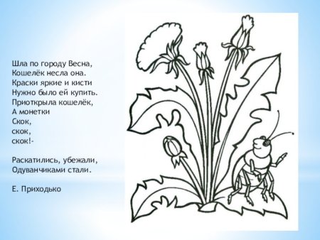 Примула первоцвет весенний рисунок